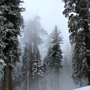 Meet your Posher, Conor